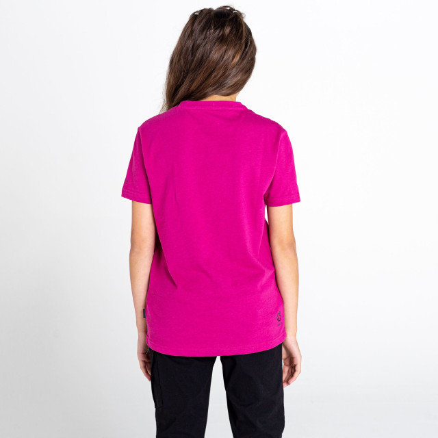 Dare2b Kinderen/kinderen go beyond grafisch t-shirt UTRG5023_fuchsia large Dare2b Kinderen/kinderen go beyond grafisch t-shirt UTRG5023_fuchsia large