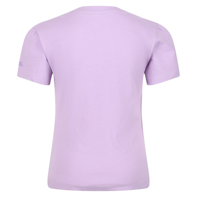 Regatta Kinderen/kinderen bosley v grafisch print t-shirt UTRG7336_pastellilac large