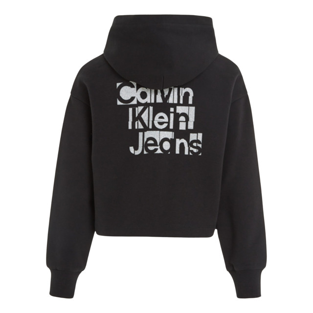 Calvin Klein Hoodie hoodie-00052882-black large