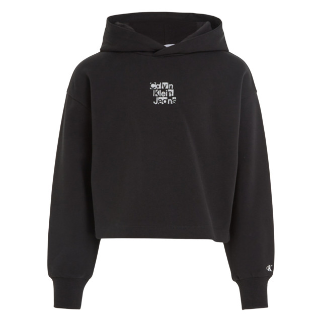 Calvin Klein Hoodie hoodie-00052882-black large