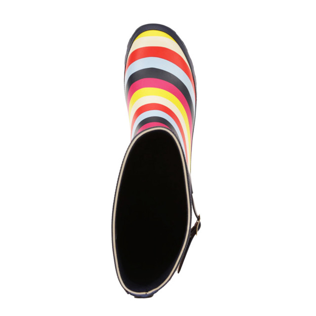 Regatta Dames ly fairweather ii hoge duurzame rubberen laarzen UTRG3770_multicolouredstripe large