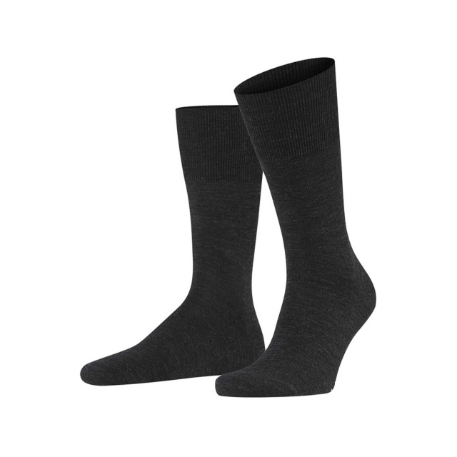 Falke Hoge sokken 14435 3080 large Falke Hoge sokken 14435 3080 large