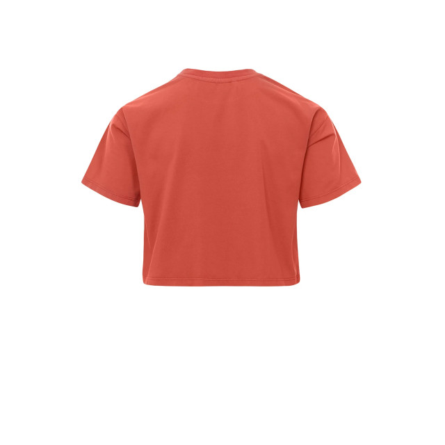 Looxs Revolution T-shirt loose-fit cinnamon voor meisjes in de kleur 2231-5413-377 large