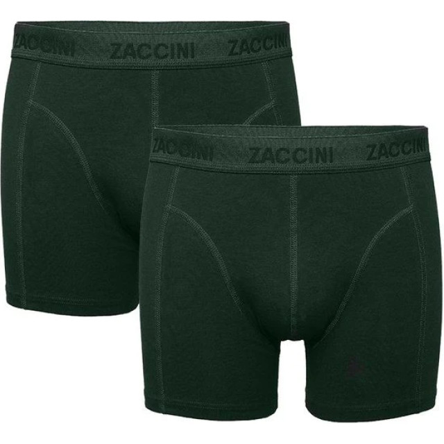 Zaccini Underwear 2-pack tone Zaccini underwear 2-pack Green Tone large