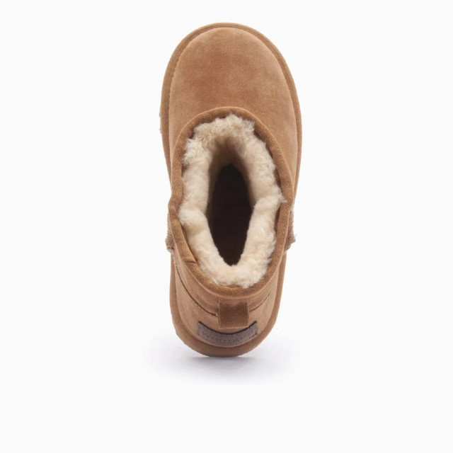 Warmbat Wallaby wly 3210 suede cognac Wallaby WLY 3210 Suede Cognac large