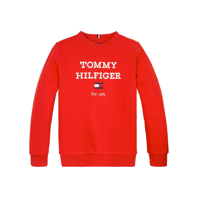 Tommy Hilfiger Sweater sweater-00052906-red large