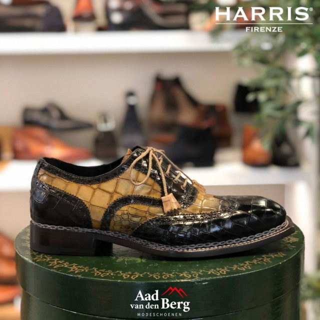 Harris Herenschoenen veterschoenen 9054 8175 large