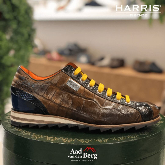 Harris Herenschoenen sneakers Tributo 5339 large