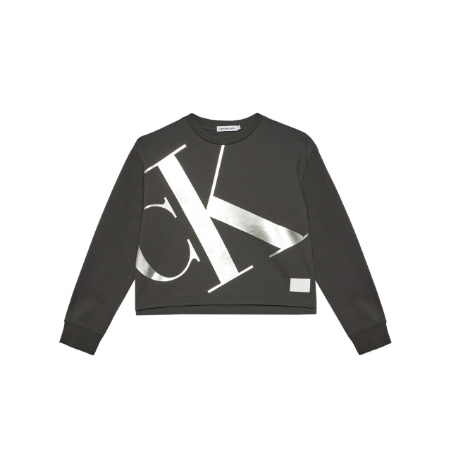 Calvin Klein Sweater sweater-00052883-grey large