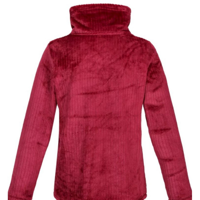 Regatta Dames radmilla linear fleece UTRG8107_icegrey large