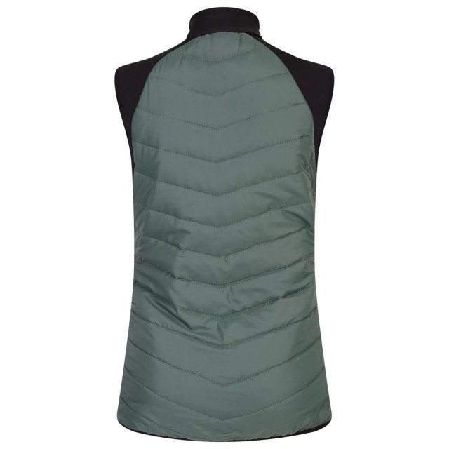 Dare2b Dames surmount ii gilet UTRG7801_duckgreenblack large