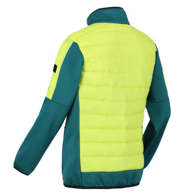 Regatta Heren clumber ii hybride geïsoleerd jasje UTRG6619_pacificgreenbrightkiwi large Regatta Heren clumber ii hybride geïsoleerd jasje UTRG6619_pacificgreenbrightkiwi large