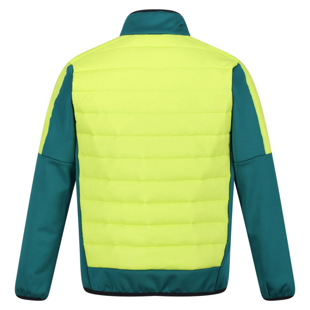 Regatta Heren clumber ii hybride geïsoleerd jasje UTRG6619_pacificgreenbrightkiwi large Regatta Heren clumber ii hybride geïsoleerd jasje UTRG6619_pacificgreenbrightkiwi large