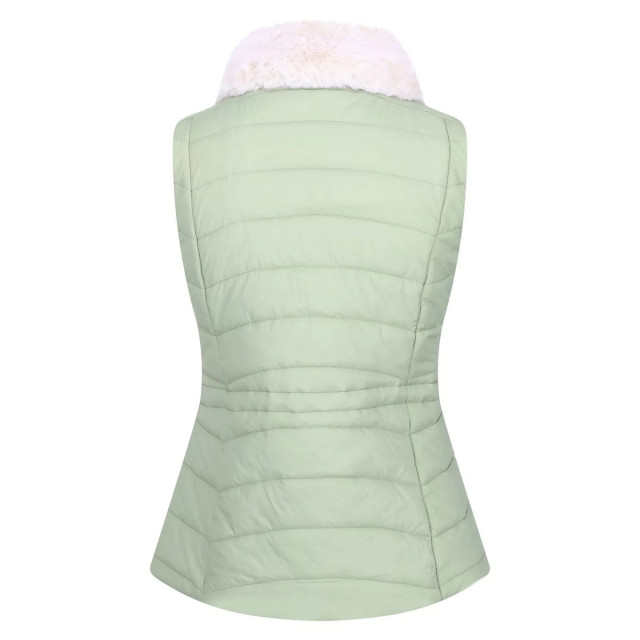 Dare2b Dames walless geïsoleerde bodywarmer UTRG8253_basil large