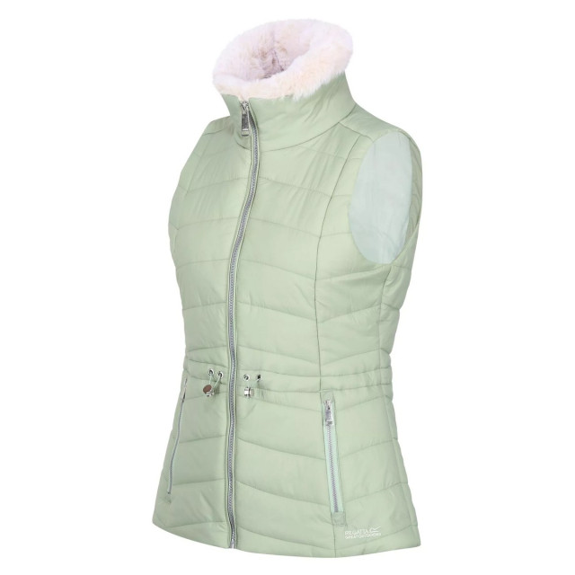 Dare2b Dames walless geïsoleerde bodywarmer UTRG8253_basil large