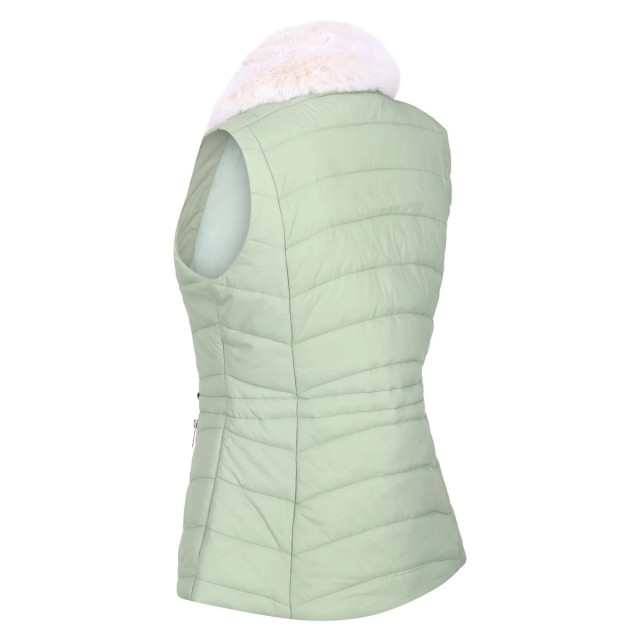 Dare2b Dames walless geïsoleerde bodywarmer UTRG8253_basil large