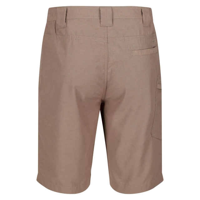 Regatta Heren delgado shorts UTRG4938_goldsand large