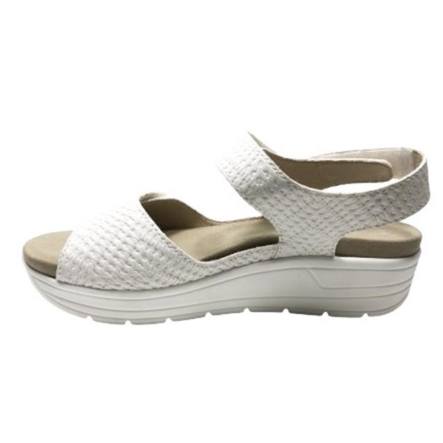 Solidus 48000 48000 Greta large