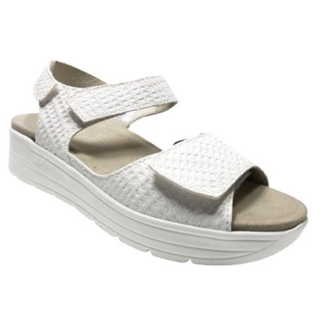 Solidus 48000 48000 Greta large