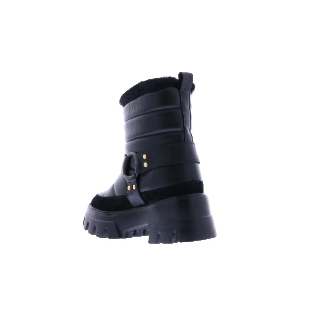 Toral TL-DENIS WEST-Zwart Enkellaarzen Zwart TL-DENIS WEST-Zwart large