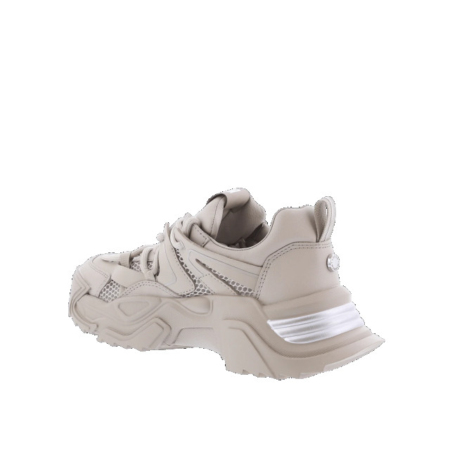 Steve Madden Dames kingdom sneaker SM11002519-22 large