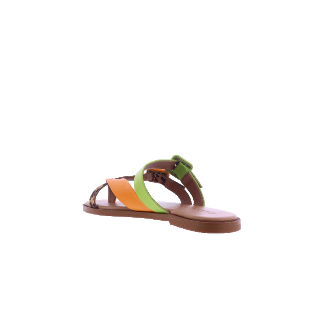 Atelier Verdi Dames inuovo sandals 979005-Orange large