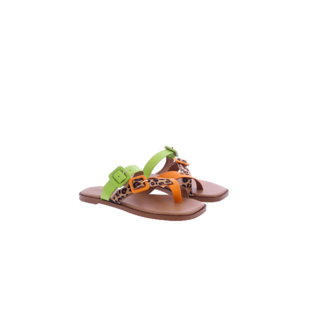 Atelier Verdi Dames inuovo sandals 979005-Orange large