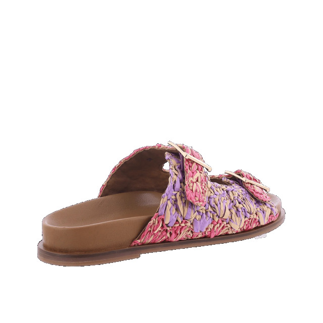 Atelier Verdi Dames inuovo sandals 397013-Sugar Multi large