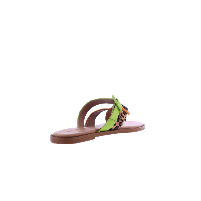 Atelier Verdi Dames inuovo sandals 979005-Orange large