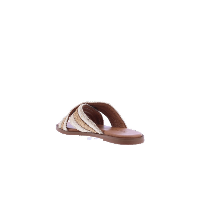Atelier Verdi Dames inuovo sandals 979006-Silver-Gold large
