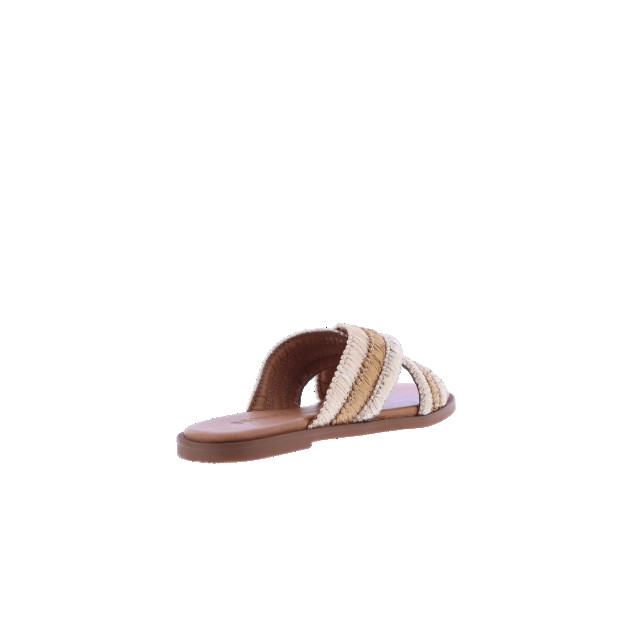 Atelier Verdi Dames inuovo sandals 979006-Silver-Gold large