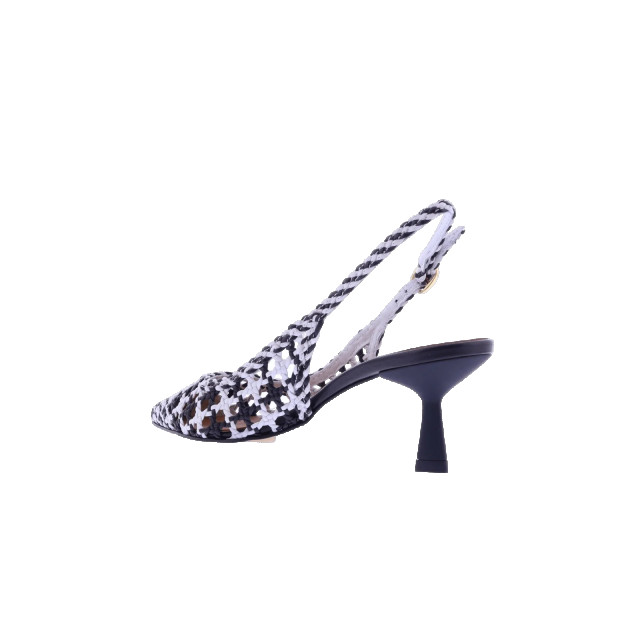Atelier Verdi Dames chanel interccio G7904-Zwart large