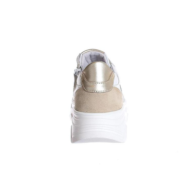Gattino G1580 G1580 large