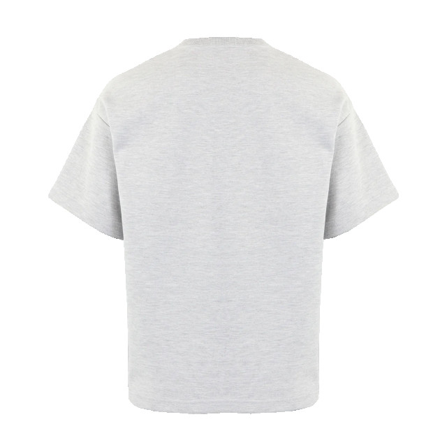 AlphaTauri Heren jahev t-shirt ATA23535-Grey large