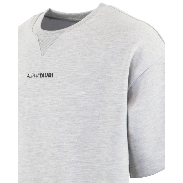 AlphaTauri Heren jahev t-shirt ATA23535-Grey large