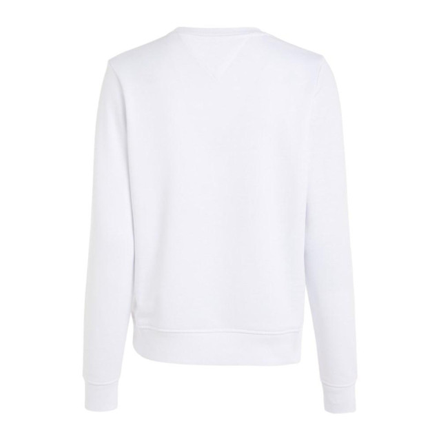 Tommy Hilfiger Reg serif color sweater DW0DW15648-YBR-XL large