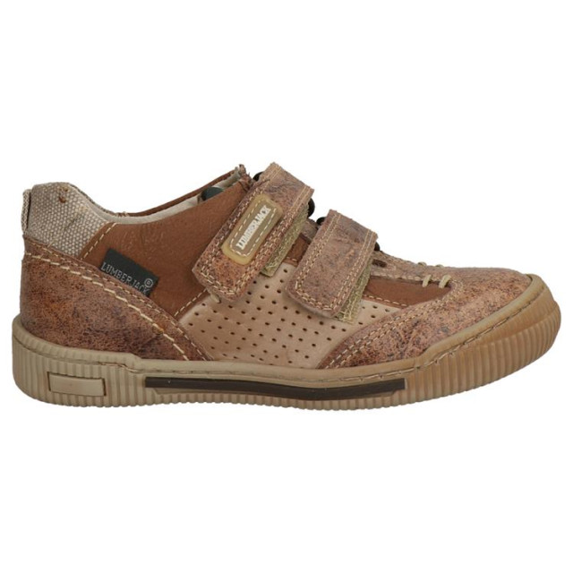 Develab 2799 bruin 2799 bruin large