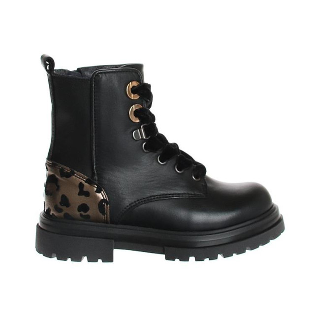 HIP H1494 H1494 large