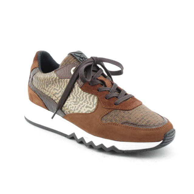 Floris van Bommel SFW-10078-23-01-Noppi 11.01 Veterschoenen Bruin SFW-10078-23-01-Noppi 11.01 large