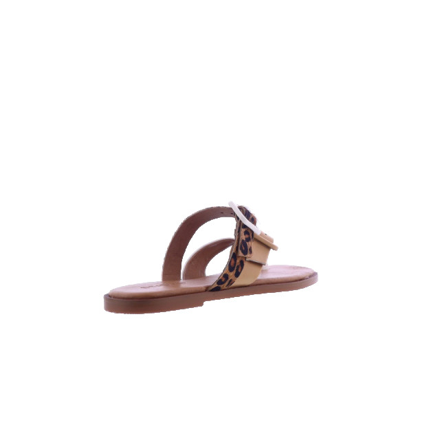 Atelier Verdi Dames inuovo sandals 979005-Crema large