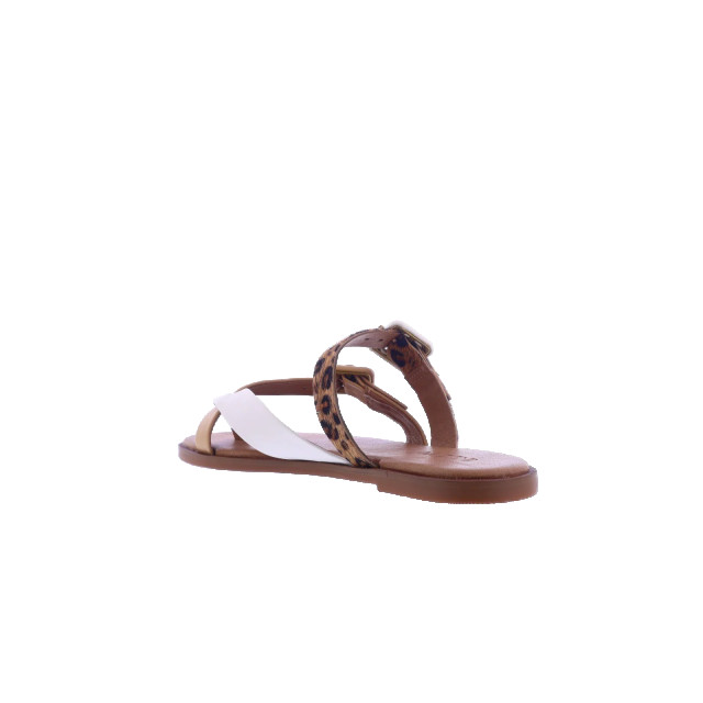 Atelier Verdi Dames inuovo sandals 979005-Crema large