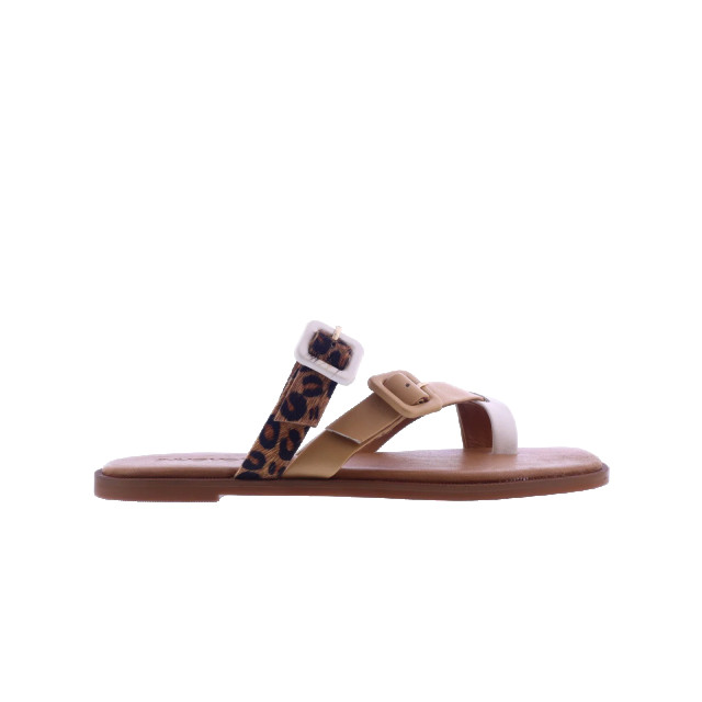 Atelier Verdi Dames inuovo sandals 979005-Crema large