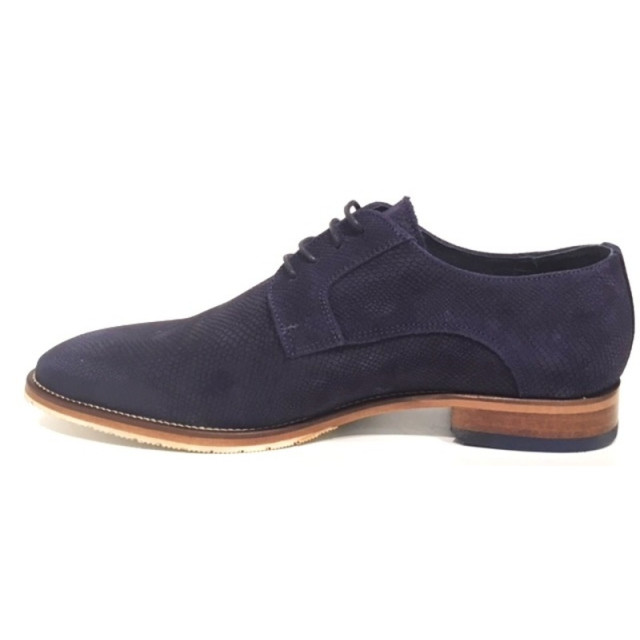 Berkelmans 22n 22N large