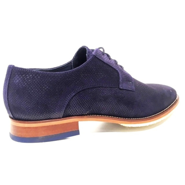 Berkelmans 22n 22N large