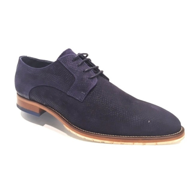 Berkelmans 22n 22N large