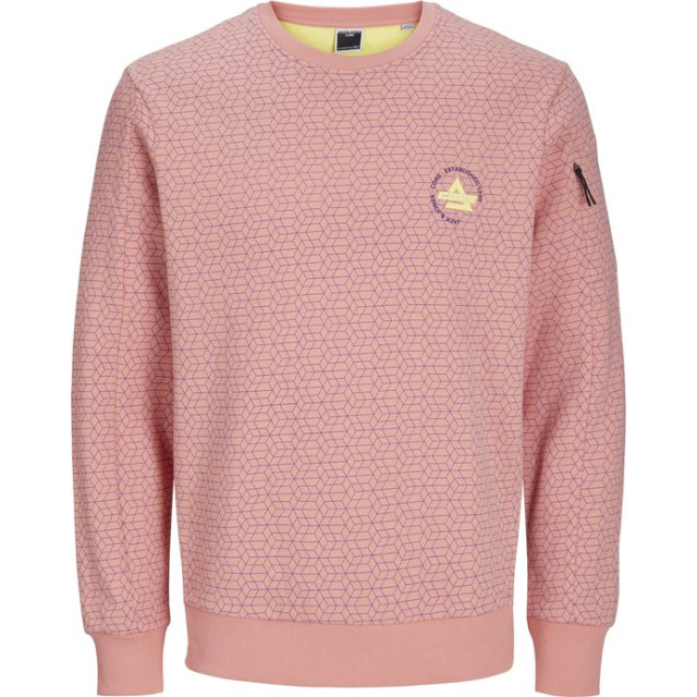 Jack & Jones Jcoaop chestprint sweat crew neck 12257933 large Jack & Jones Jcoaop chestprint sweat crew neck 12257933 large