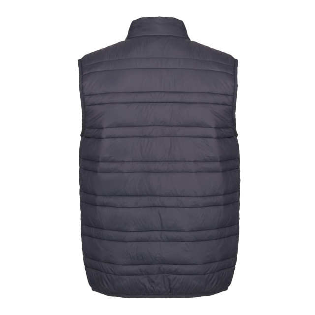 Regatta Herenbrand down gewatteerde bodywarmer UTRG4506_sealgreyblack large