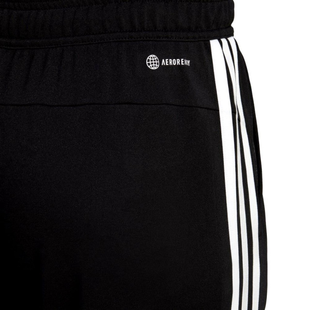 Adidas tr-es base 3pt - 065116_991-L large