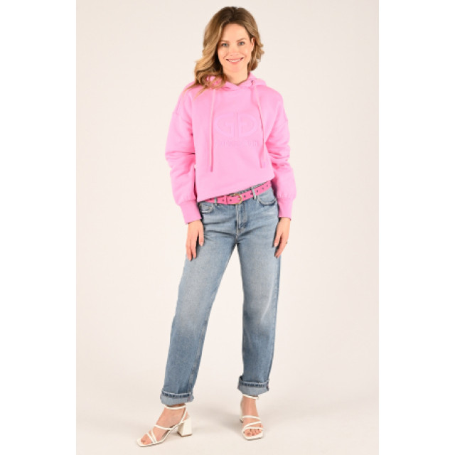 Goldbergh Sweater roze large
