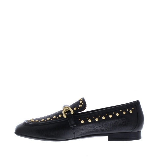 Gioia Loafer 109041 109041 large